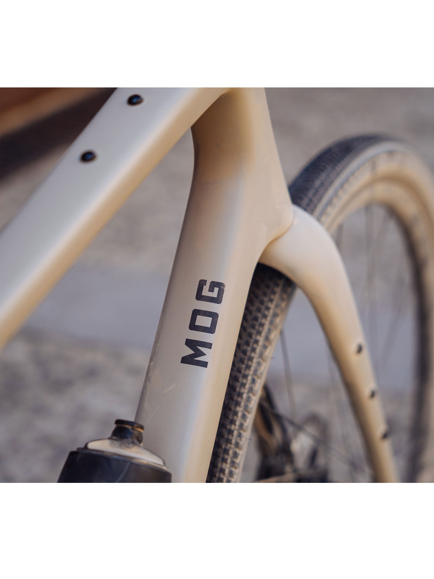 Cuadro Enve MOG The Service Course Mexico