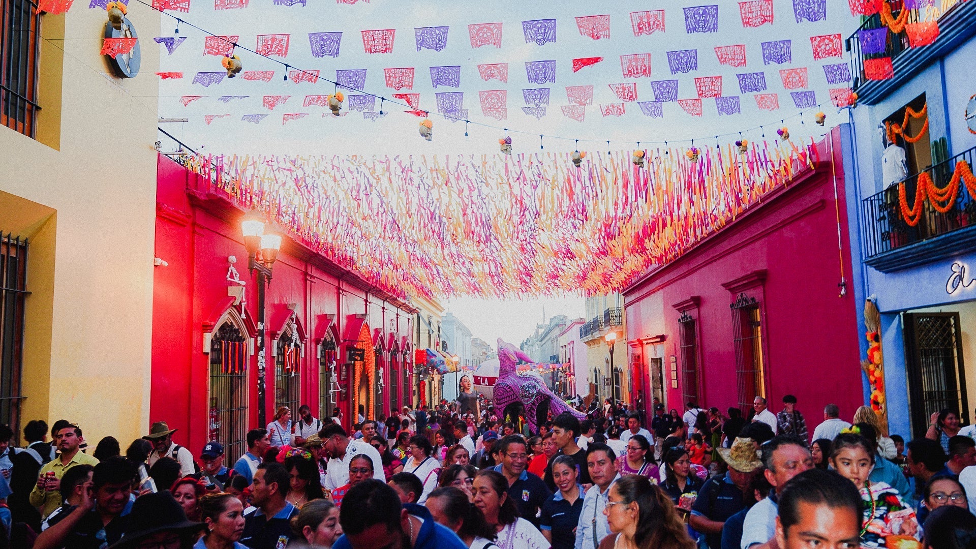 OAXACA CYCLING TOUR 2026: CRUZA LA SIERRA MADRE HASTA EL MAR