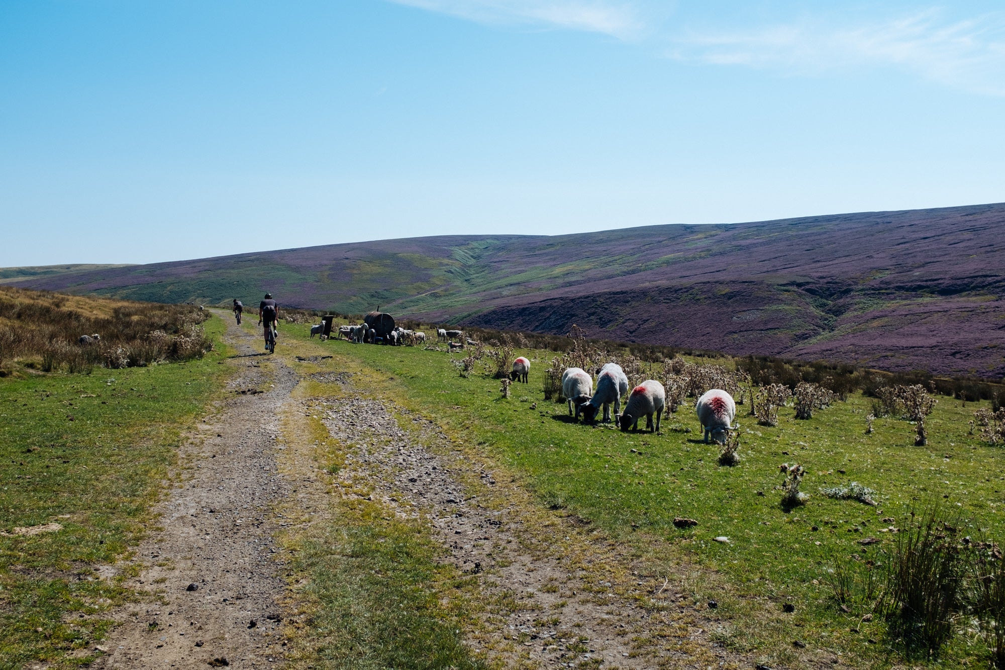 Paseos en Wilmslow y eventos especiales