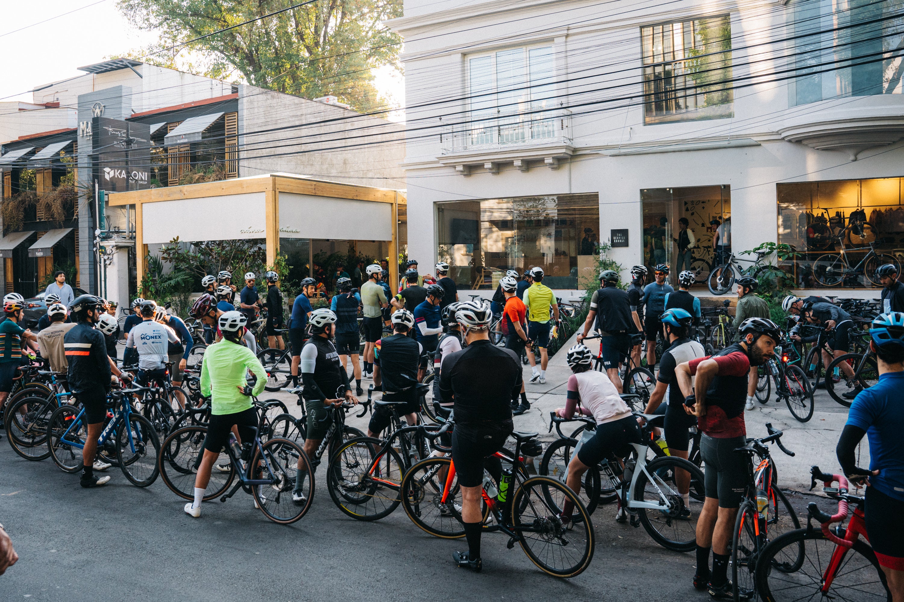 Trabaja con Nosotros