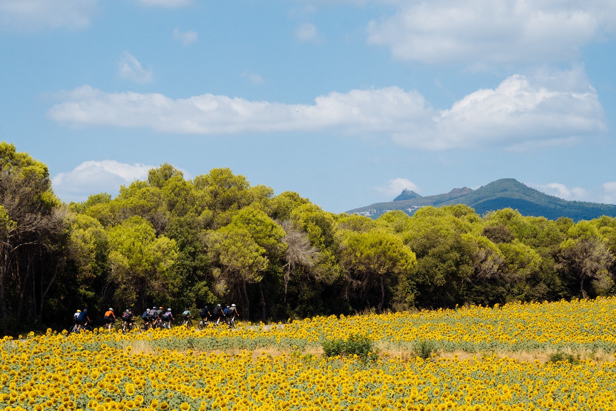 Trabaja con Nosotros